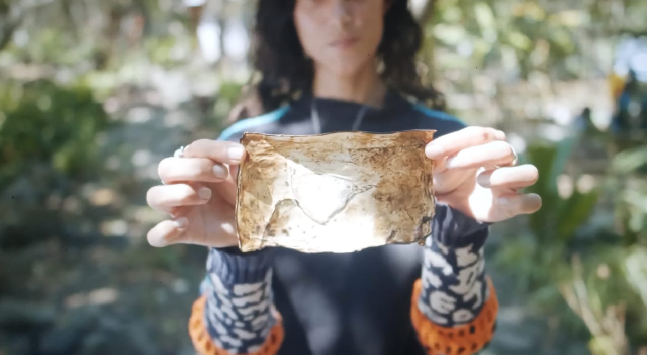 Mycelium-bacterial cellulose composite