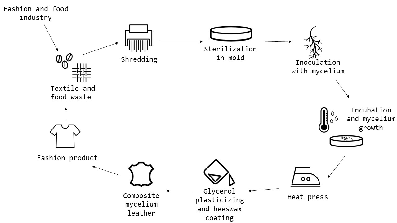 Circular fashion model
