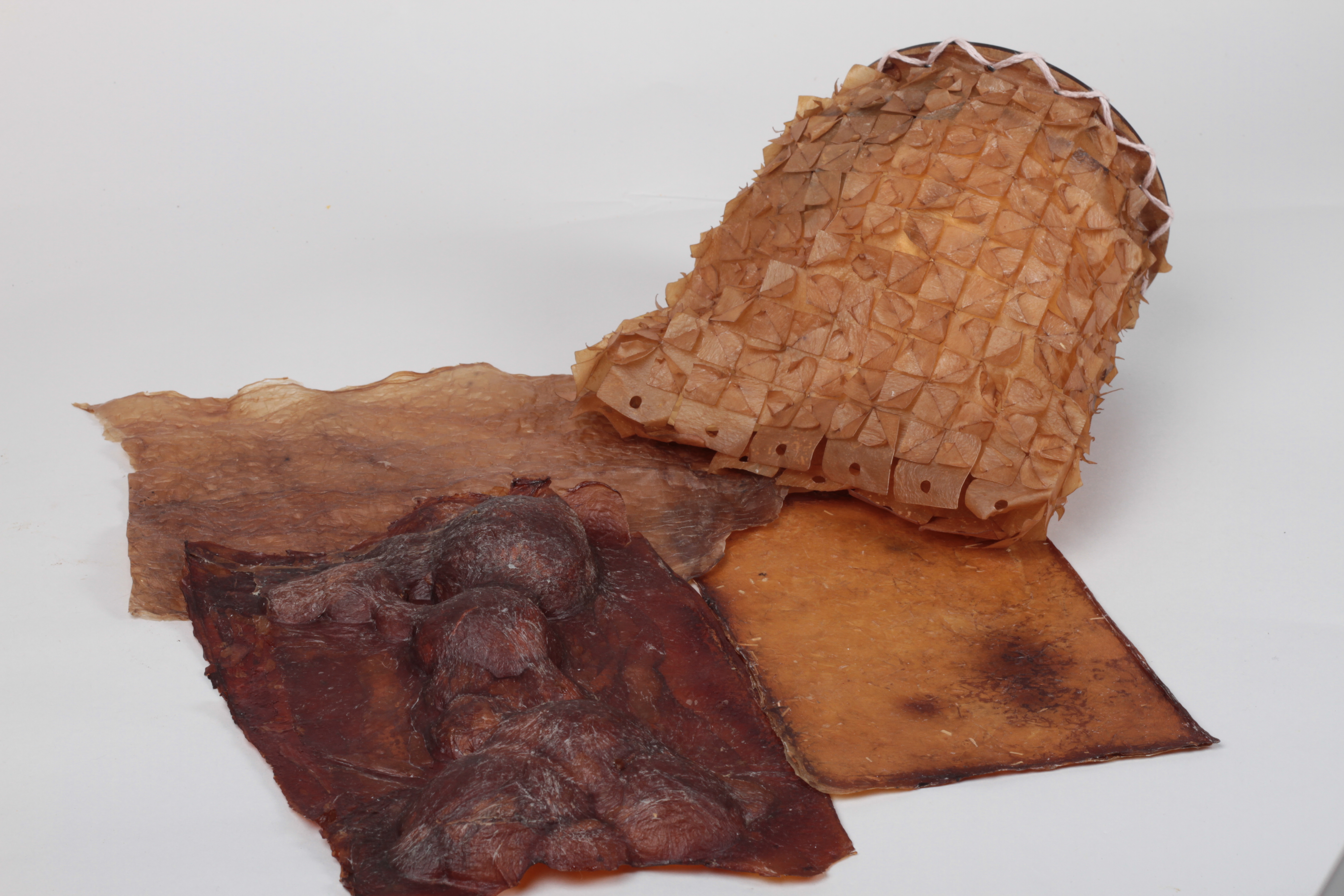 Bacterial cellulose textiles