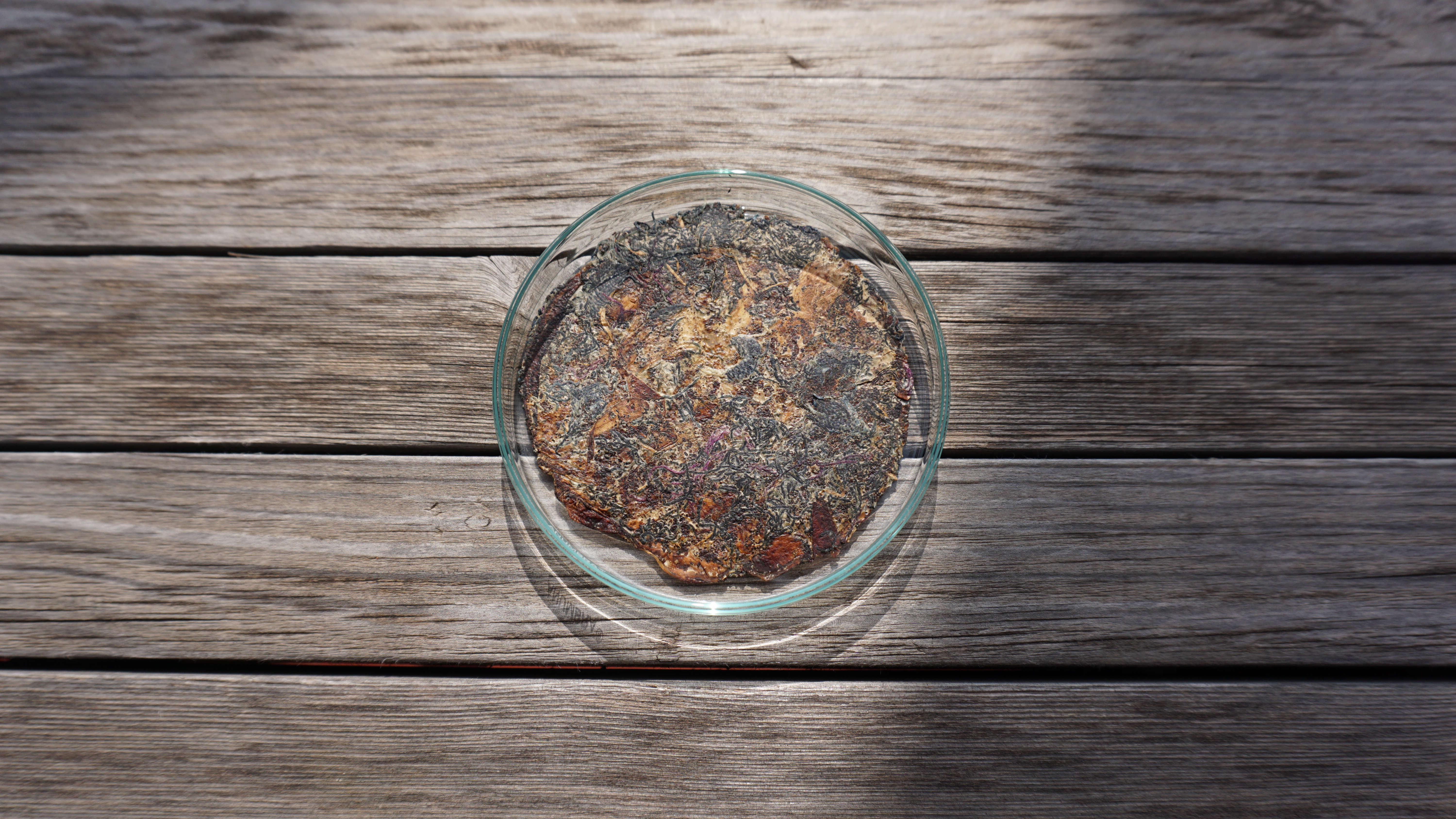 Composite mycelium leather